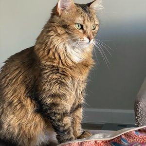 Meet your Posher, Karima